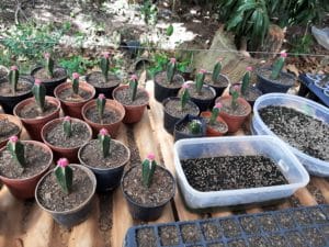 01 - Muitas NOVIDADES em breve.... - Imagem 36