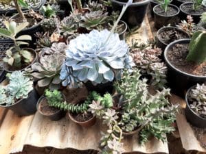 01 - Muitas NOVIDADES em breve.... - Imagem 33