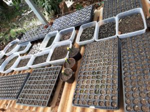 01 - Muitas NOVIDADES em breve.... - Imagem 31