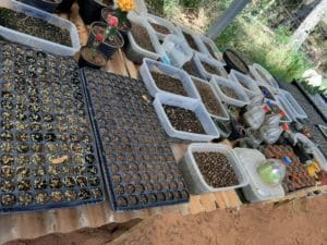 01 - Muitas NOVIDADES em breve.... - Imagem 29