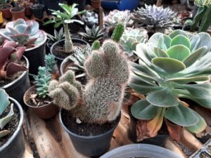 01 - Muitas NOVIDADES em breve.... - Imagem 27