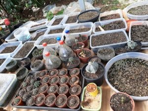 01 - Muitas NOVIDADES em breve.... - Imagem 25