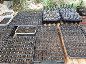 01 - Muitas NOVIDADES em breve.... - Imagem 24