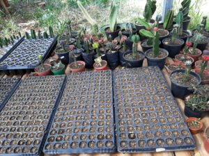 01 - Muitas NOVIDADES em breve.... - Imagem 23