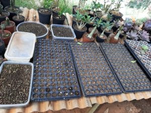 01 - Muitas NOVIDADES em breve.... - Imagem 20