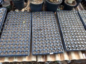 01 - Muitas NOVIDADES em breve.... - Imagem 18