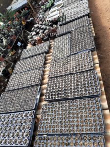 01 - Muitas NOVIDADES em breve.... - Imagem 17