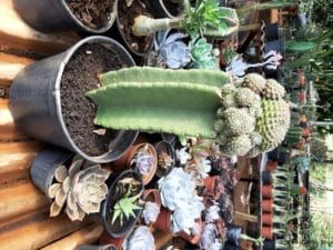 01 - Muitas NOVIDADES em breve.... - Imagem 14