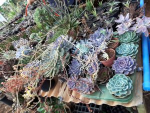 01 - Muitas NOVIDADES em breve.... - Imagem 6