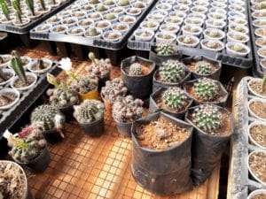 01 - Muitas NOVIDADES em breve.... - Imagem 8