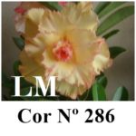 LEILÃO Nº 451 - Imagem 12