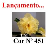 ENXERTO COR LM 451