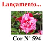 ENXERTO COR LM 594
