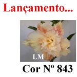 ENXERTO COR LM 843