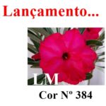 ENXERTO COR LM 384
