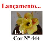 ENXERTO COR LM 444