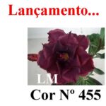 ENXERTO COR LM 455