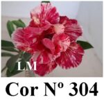 ENXERTO COR LM 304