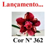 ENXERTO COR LM 362