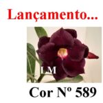 LEILÃO Nº 546 - Imagem 8