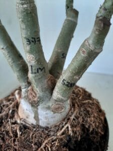 LEILÃO Nº 544 - Imagem 13