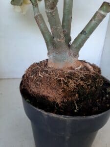 LEILÃO Nº 544 - Imagem 9