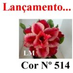 ENXERTO COR LM 514)