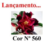 ENXERTO COR LM 560