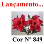 ENXERTO COR LM 849