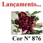 ENXERTO COR LM 876 (RIHANNA)