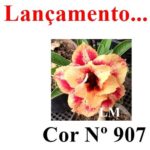 ENXERTO COR LM 907