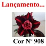 ENXERTO COR LM 908