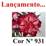 ENXERTO COR LM 931