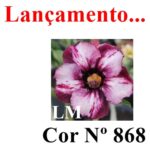 ENXERTO COR LM 868
