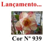 ENXERTO COR LM 939