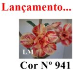 ENXERTO COR LM 941