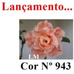 ENXERTO COR LM 943