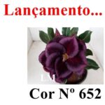 ENXERTO COR LM 652