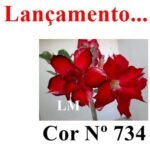 ENXERTO COR LM 734