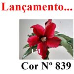 ENXERTO COR LM 839