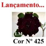 ENXERTO COR LM 425