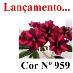 ENXERTO COR LM 959