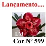 ENXERTO COR LM 599