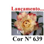 ENXERTO COR LM 639