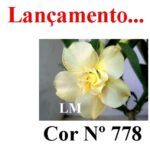 ENXERTO COR LM 778