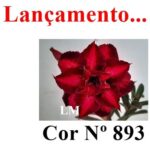 ENXERTO COR LM 893