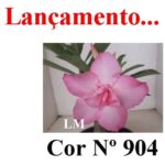 ENXERTO COR LM 904
