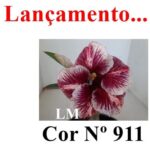 ENXERTO COR LM 911