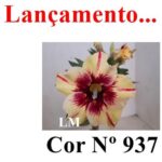 ENXERTO COR LM 937