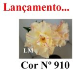 ENXERTO COR LM 910